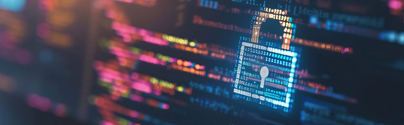 Software development security: a guide for IT business leaders Software Development Security