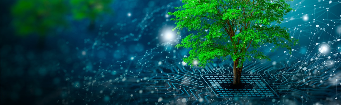 Why eco-friendly technology is mandatory for today's generation? What is green coding launch cover